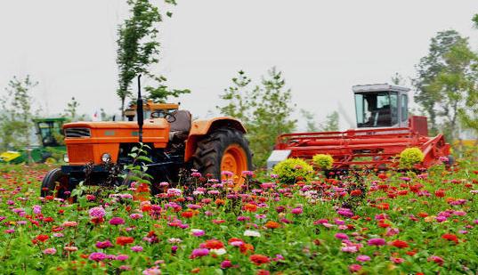 “十三五”大思路規(guī)劃， 哪些決定將影響農(nóng)業(yè)行業(yè)