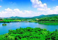 東莞榮膺“國(guó)家森林城市”稱(chēng)號(hào)