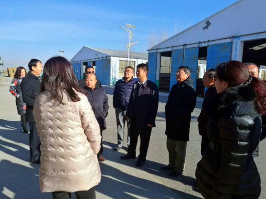 塞上江南河套腹地巴彥淖爾將冉起國家農高區