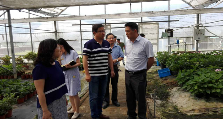 南京白馬高新區創建國家農高區調研成果會順利召開