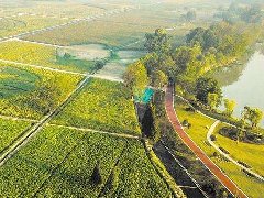 婁底經(jīng)開(kāi)區(qū)薄板深加工產(chǎn)業(yè)園添“勁旅”