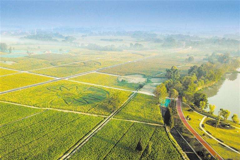 農(nóng)業(yè)政策 | 農(nóng)業(yè)農(nóng)村部 關(guān)于開(kāi)展2022年畜禽養(yǎng)殖標(biāo)準(zhǔn)化示范創(chuàng)建活動(dòng)的通知