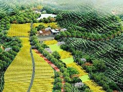 安徽省農業農村廳關于第三批省級現代農業產業園名單的公示