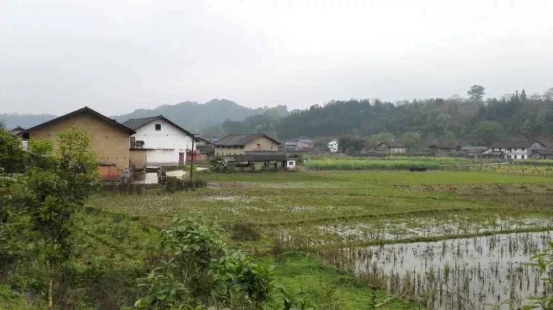 《云南楚雄國家農業(yè)科技園區(qū)“十四五” 發(fā)展規(guī)劃》經(jīng)州人民政府審定印發(fā)實