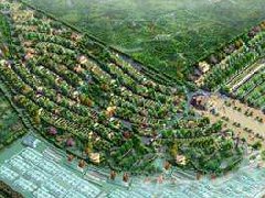 安新現(xiàn)代農業(yè)產業(yè)園 萬朵牡丹迎新春