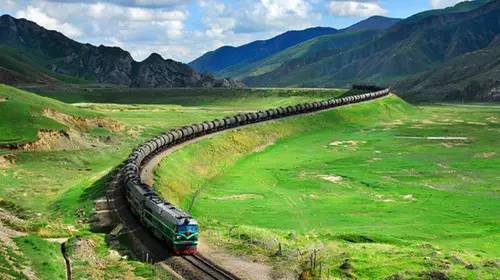 “一帶一路”，帶西充走上國(guó)際有機(jī)路
