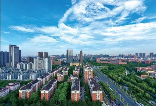 嘉興經(jīng)開(kāi)區(qū)大力推進(jìn)“綠城花海”建設(shè)