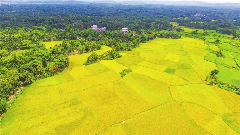 美國大農場、以色列滴灌、德國高科技……農業大國哪家強？