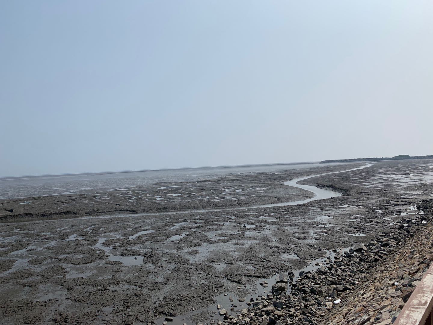 依托貝類(lèi)優(yōu)勢(shì)，遼寧省東港市積極創(chuàng)建省級(jí)現(xiàn)代農(nóng)業(yè)產(chǎn)業(yè)園