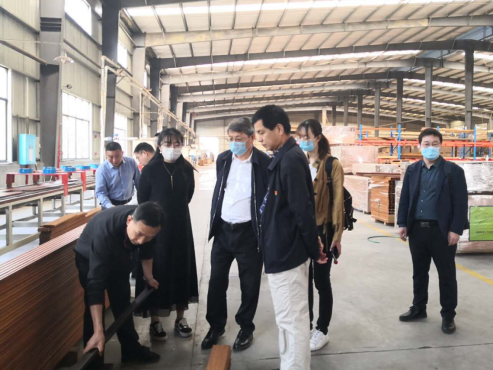 竹青筍香“桃花江”，現(xiàn)代農業(yè)吐芬芳