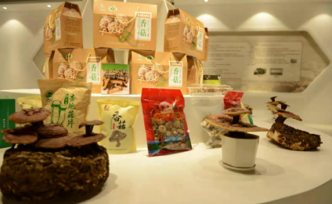 依托蘋果和香菇兩大特色優勢產業，萬榮縣積極申創國家農業現代化示范區