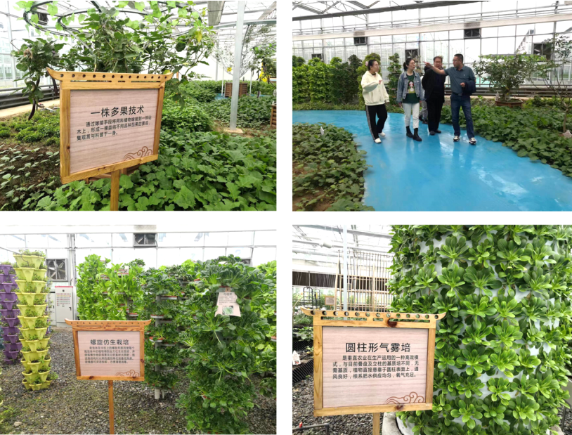 晉之源果蔬再啟航，曲沃開啟國家農(nóng)業(yè)現(xiàn)代化示范區(qū)新征程