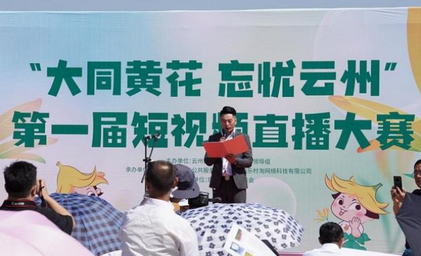 奮進新征程，建功新時代 ——云州積極推進國家鄉村振興示范縣創建