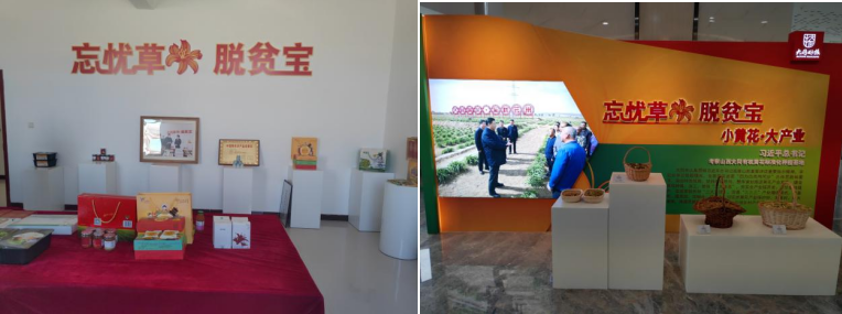 打造農業綠色發展典范，云州區創建國家農業綠色發展先行區勢在必行